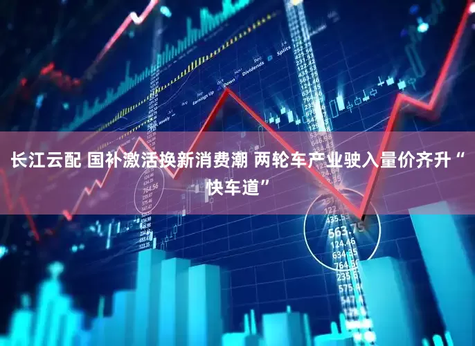 长江云配 国补激活换新消费潮 两轮车产业驶入量价齐升“快车道”