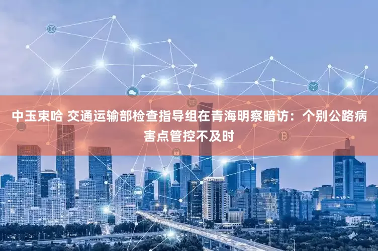 中玉束哈 交通运输部检查指导组在青海明察暗访：个别公路病害点管控不及时