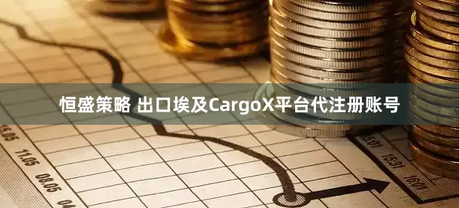 恒盛策略 出口埃及CargoX平台代注册账号